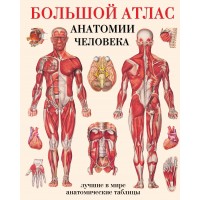 Большой атлас анатомии человека. Лучшие в мире анатомические таблицы. Твердая обложка. Е. Махиянова