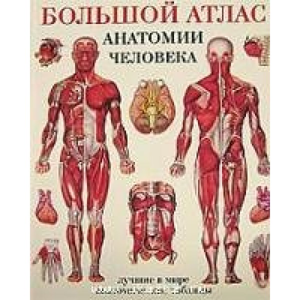 Большой атлас анатомии человека. Твердая обложка. Е. Махиянова