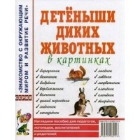 Детеныши диких животных в картинках. 