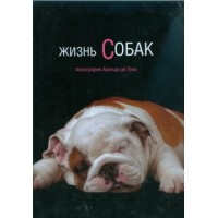 Жизнь собак. 