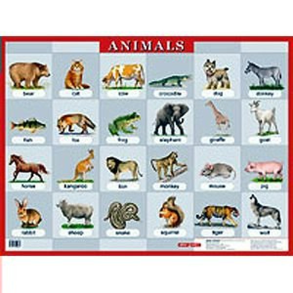 Английский язык. Животные. Animals. А2. 