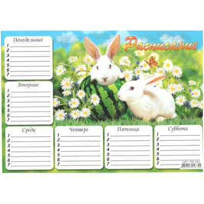 Расписание  Кролики белые  Фонтанка глитер РКГ-043
