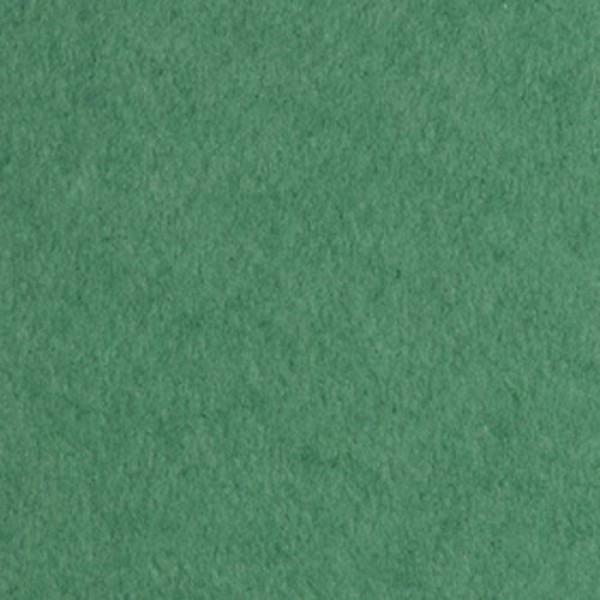Бумага для рисования А3 50 листов 200г/м2 зеленая холодные оттенки БРЗ/А3 Лилия  Т52019