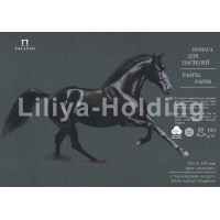 Бумага для пастели А4 50 листов 160г/м2 Палаццо Graphite серый БPGH/А4 Лилия