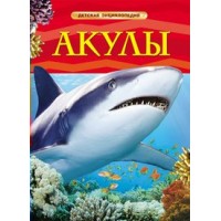 Акулы. Акулы.