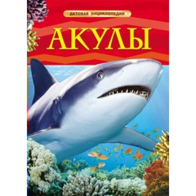 Акулы. 