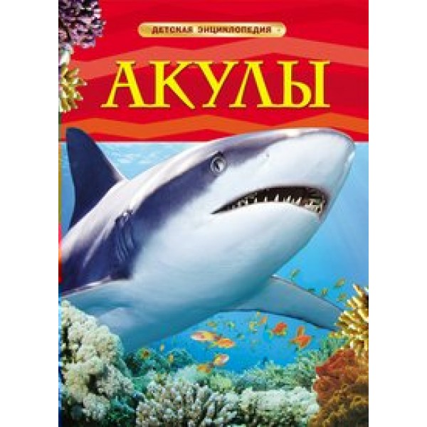 Акулы. 