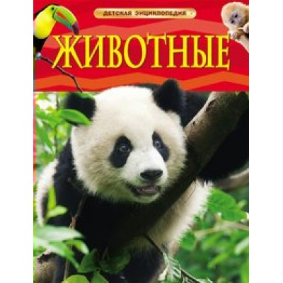 Животные. 