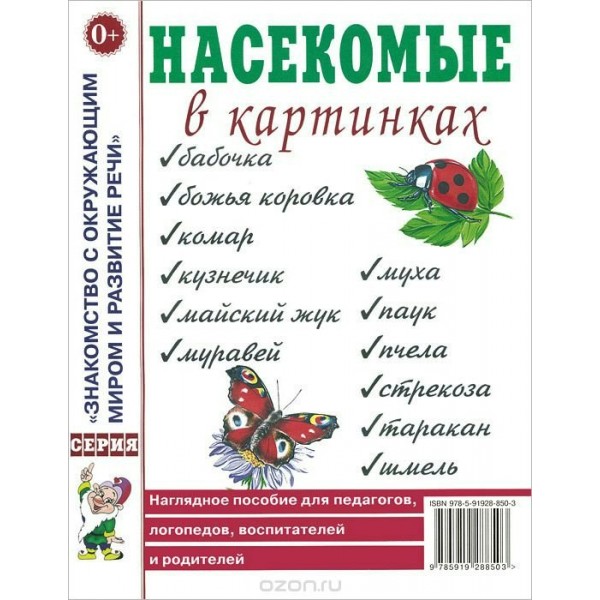 Насекомые в картинках. 