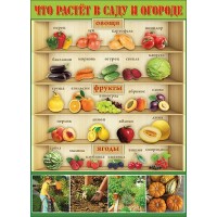 Овощи, фрукты, ягоды. П838. Праздник