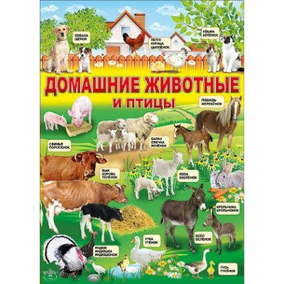 Домашние животные и птицы. П898. Праздник