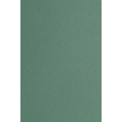 Картон цветной А2 200г/м2 тонированный зеленый КЦА2зел. Лилия  700006